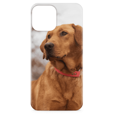 iPhone 12 Pro Photo Case - Snap On